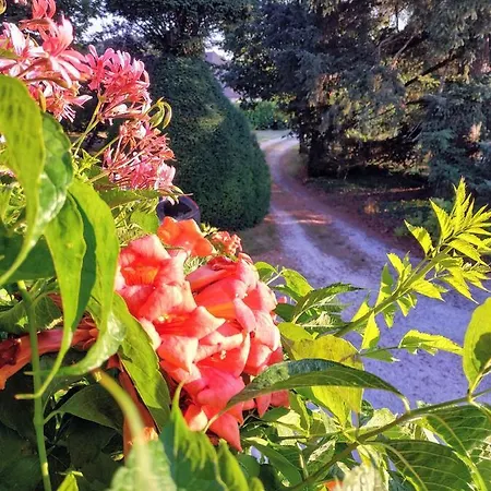 Tatil Evi Le Petit Manoir De Vitrac (Dordogne)